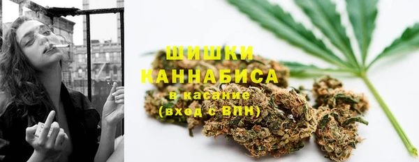 тгк Дмитриев