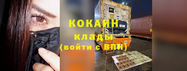 тгк Дмитриев
