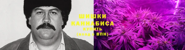 тгк Дмитриев