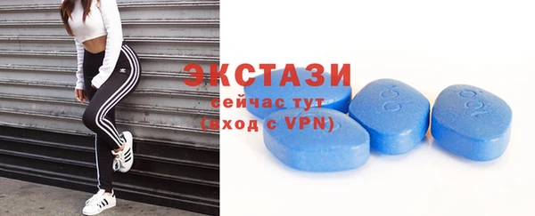 тгк Дмитриев