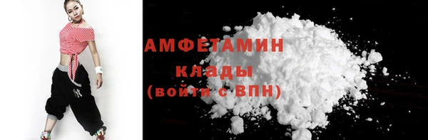 тгк Дмитриев