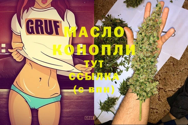 тгк Дмитриев