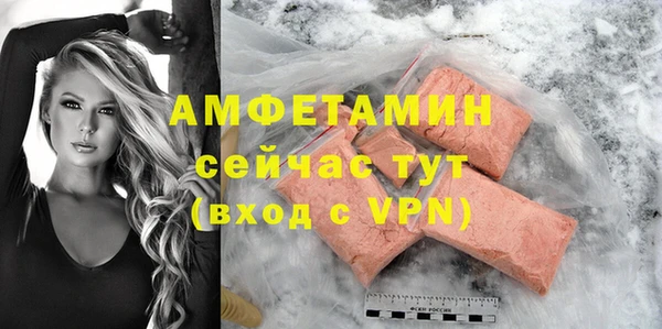 тгк Дмитриев
