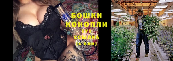 тгк Дмитриев