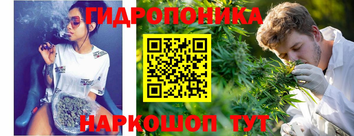 Канабис марихуана  Каннабис SATIVA & INDICA  МАРИХУАНА Amnesia  Шишки марихуана сатива  Коломна  Вход с VPN 